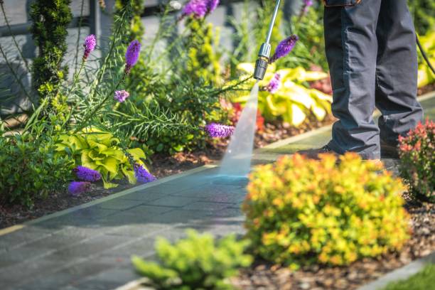 Best Machinery and Equipment Cleaning  in Buffalo Grove, IL